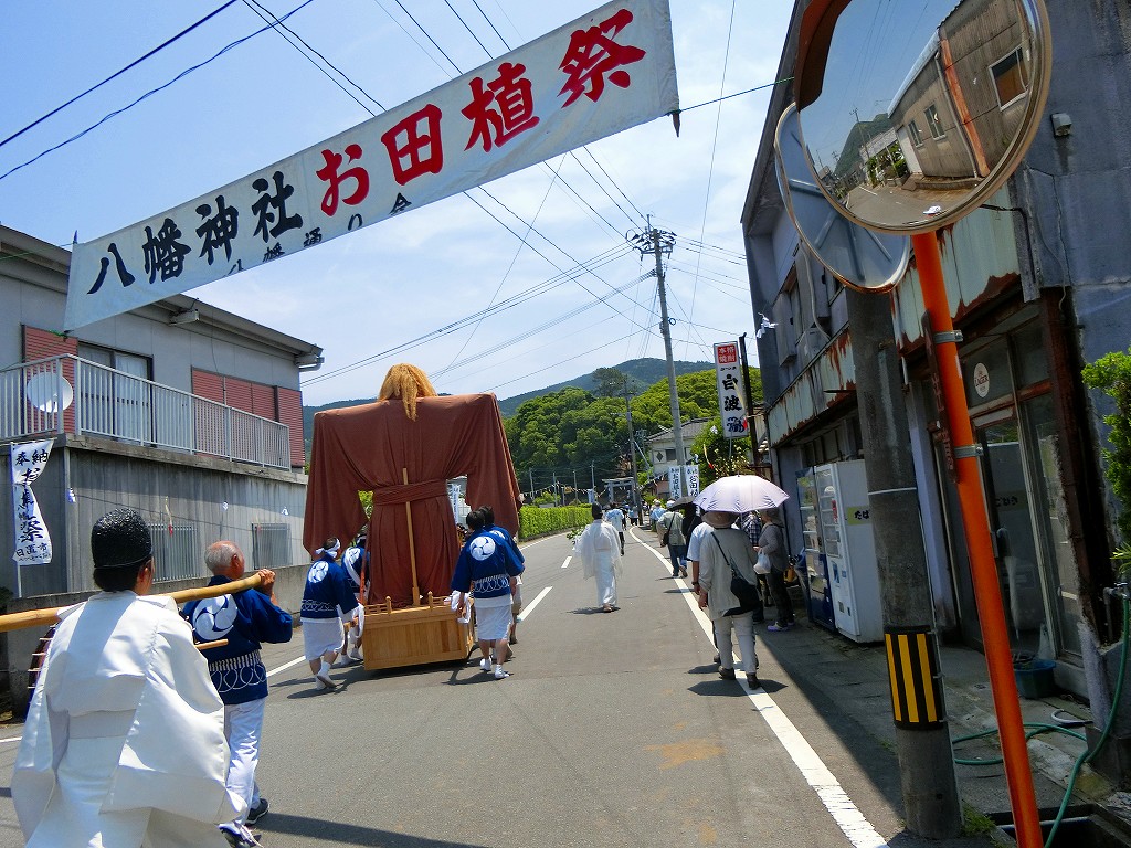 日置八幡神社のお田植祭りに来ています。