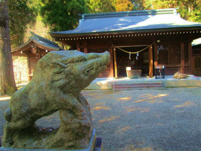 和気神社では狛猪（こまいのしし）が守ります。