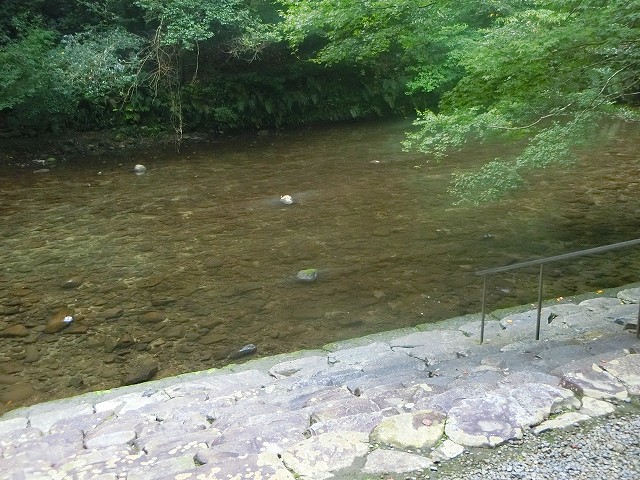吾平山上陵を清らかな姶良川が流れます。
