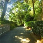 鹿児島市から25分で行ける薩摩焼の里・美山で窯元巡りと散策をしてきました。
