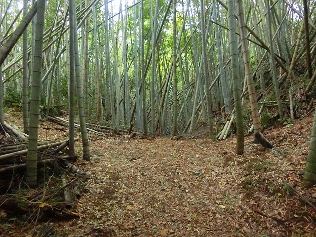 串木野城の広い空間は空堀の跡です。