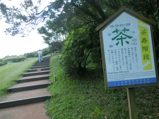 この茶寿階段を登ると大野岳の山頂です。