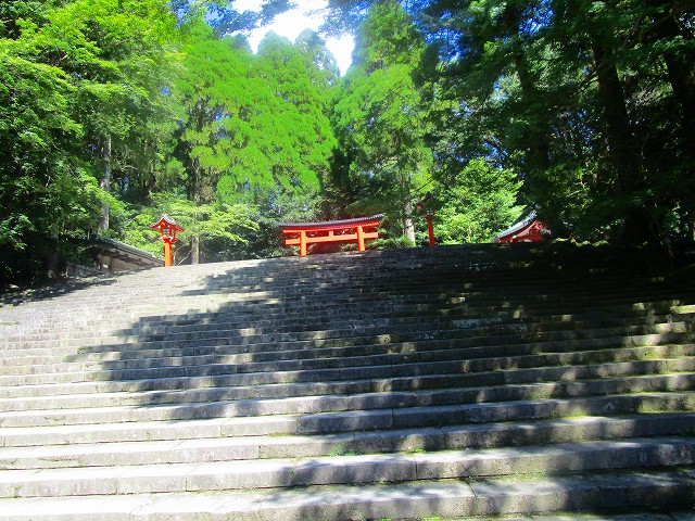 霧島神宮の大きな階段を進みます。
