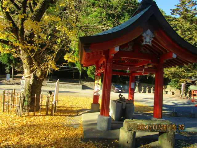 豊玉姫神社の赤い手水舎です。
