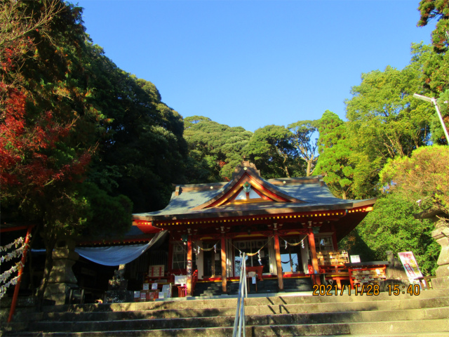 石段の先に豊玉姫神社の拝殿があります。