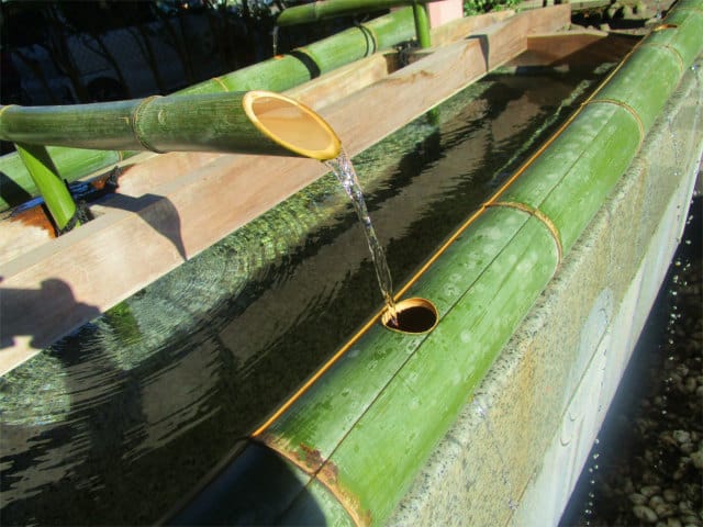 手水舎は竹から直接手に受けます。