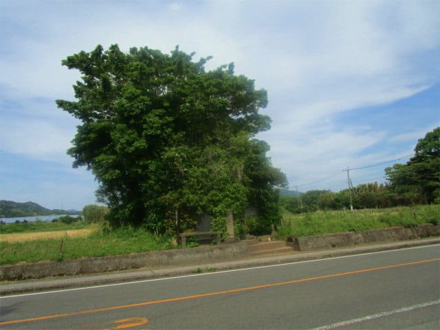 ポツンと立つ木々の中に日本最古の井戸