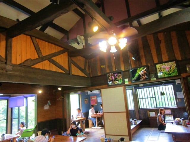 麻里花さんの高い天井の下はお客様でいっぱいです。