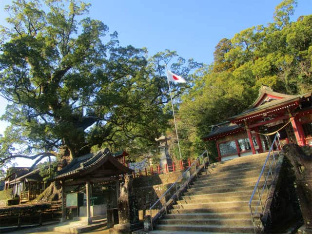 蒲生八幡神社と日本一の大楠です。